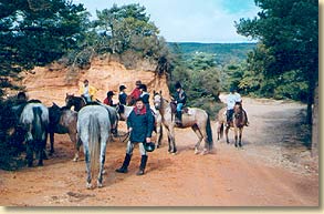 Promenades  cheval