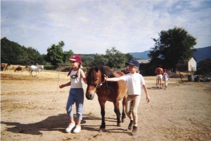 Promenades  poneys