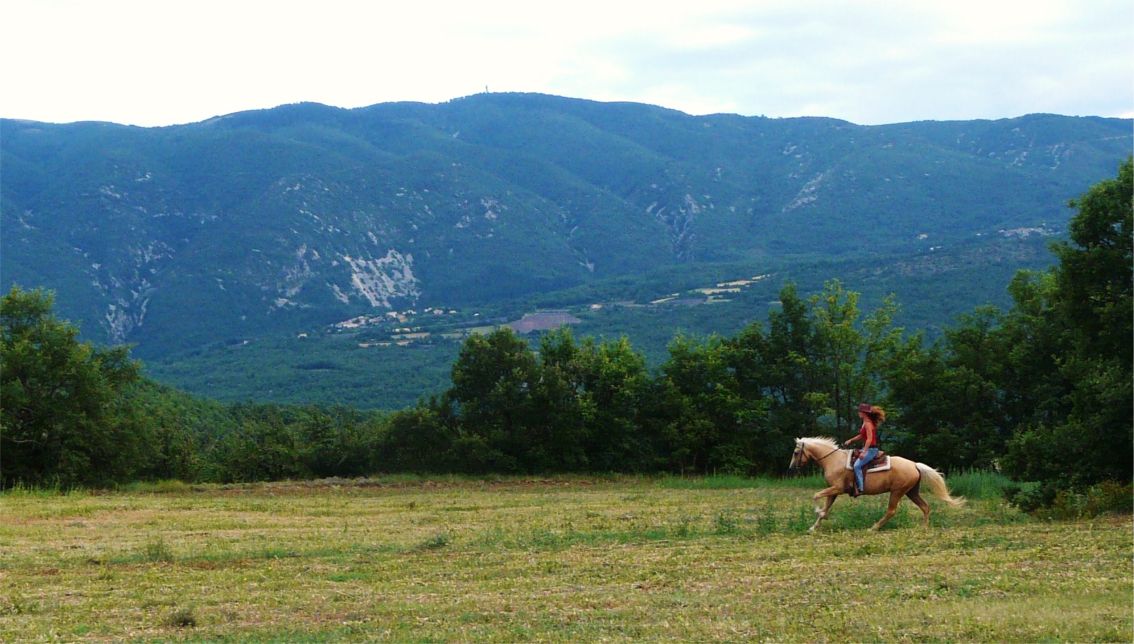 randonnee equestre luberon provence france